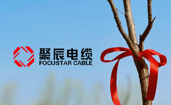 種一抹新綠，為地球充“植”